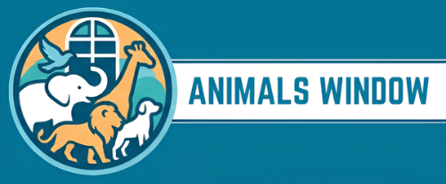 Animals Window