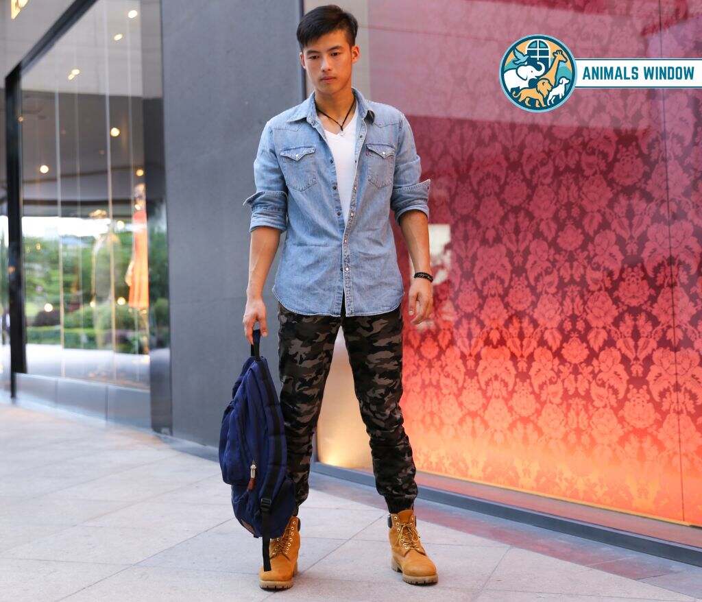 Human Animal Without Tail