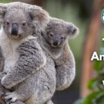 15 Shy Animals in the World (With Pictures and Unique Facts)