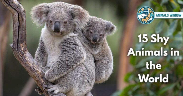 15 Shy Animals in the World (With Pictures and Unique Facts)
