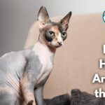 12 Bald & Hairless Animals in the World (With Pictures and Unique Facts)