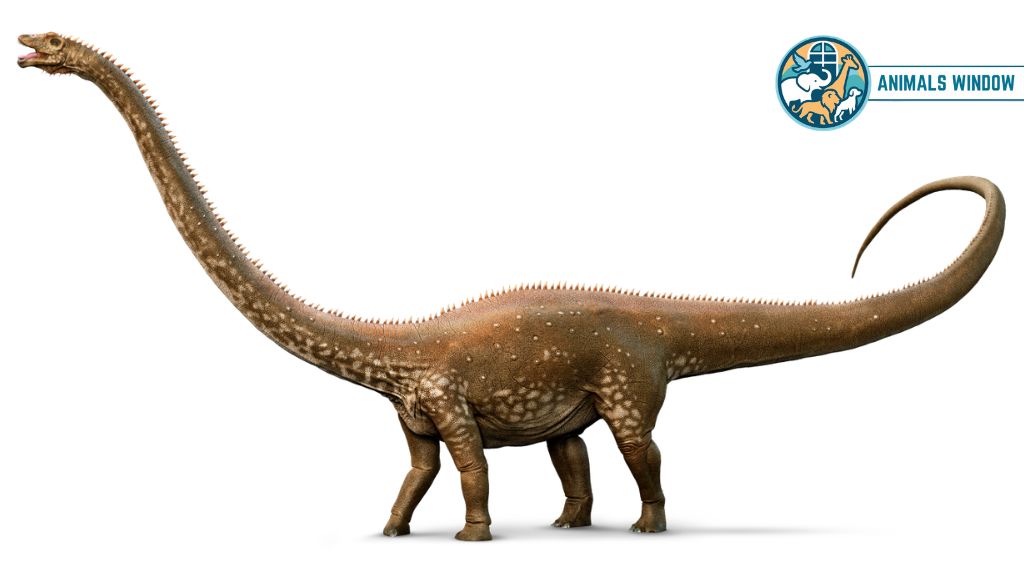 Diplodocus Animal With Long Necks