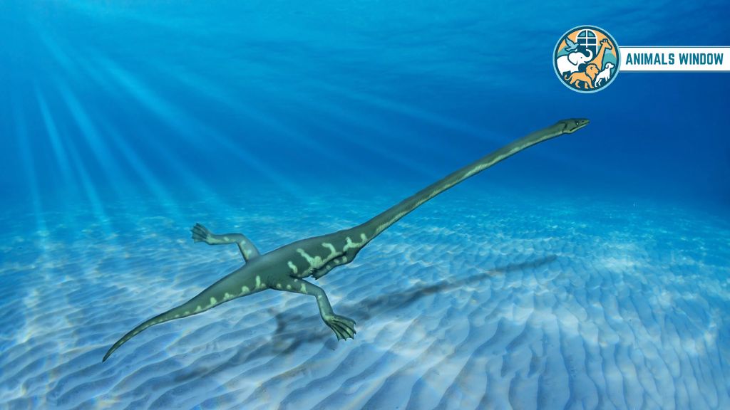 Tanystropheus Animals With Long Necks