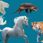 Animal Body Parts: What Makes Each Species Built Differently