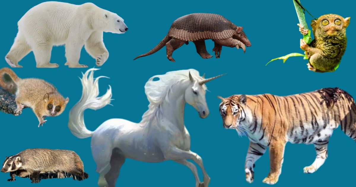 Animal Body Parts: What Makes Each Species Built Differently