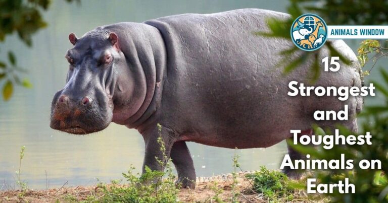 15 Strongest and Toughest Animals on Earth (With Pictures and Unique Facts)